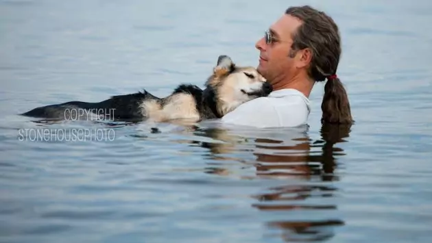 Natación en perros con Artritis