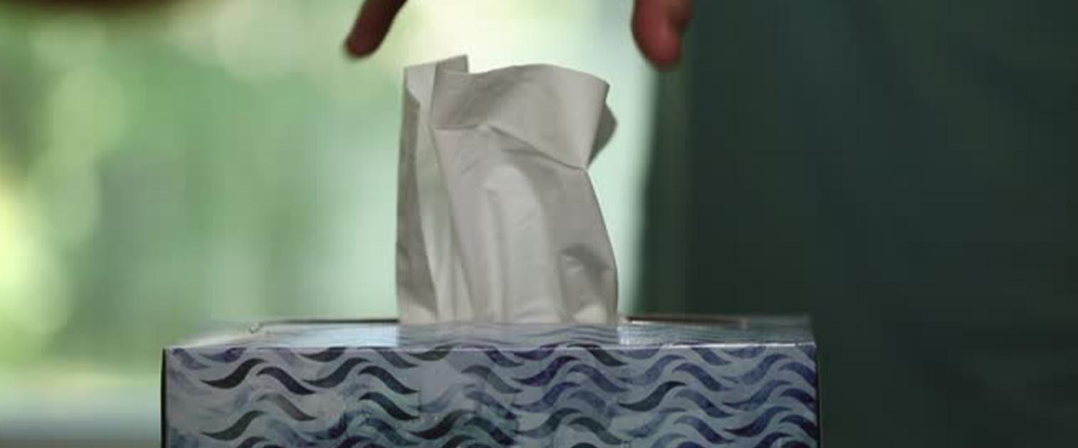 pañuelos