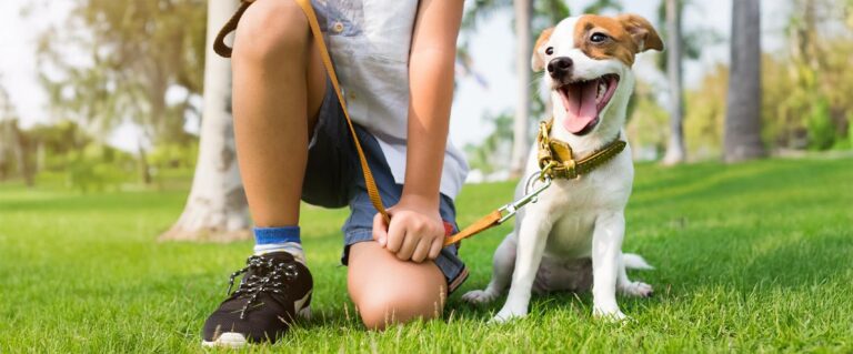niño junto a un perrito, tomando su correa