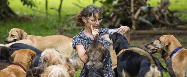 señora rodeada de muchos perros