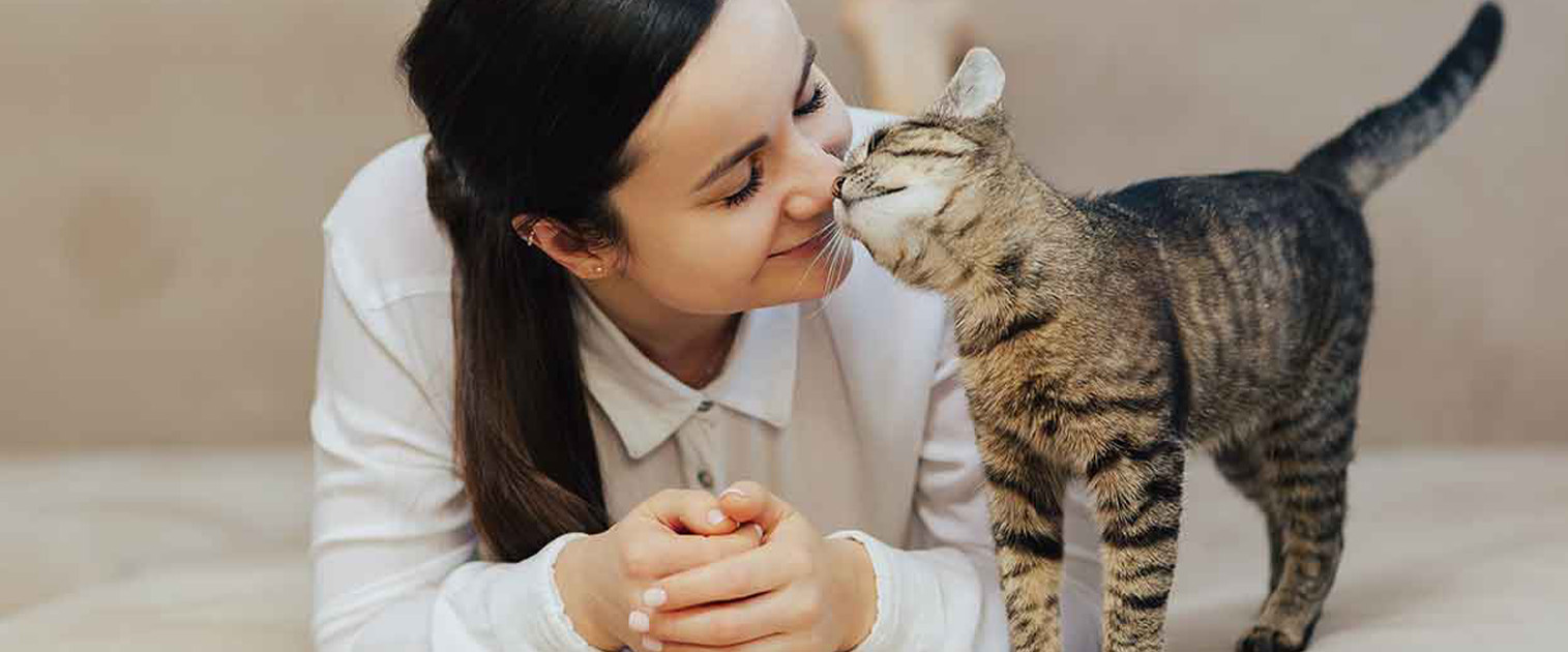 mujer junto a gato, mientras este le demuestra su amor, frotando sus caras