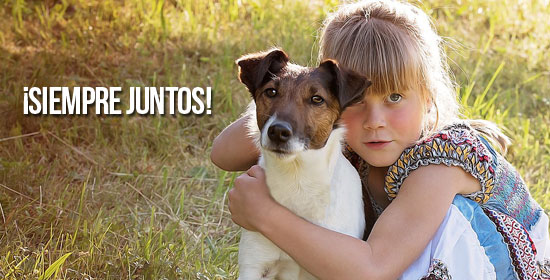 tenencia_responsable_connect_my_dog3
