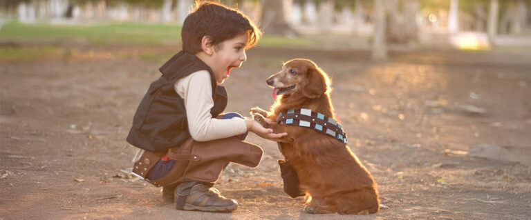 niño y perro tomando sus manos, como si hicieras un pacto