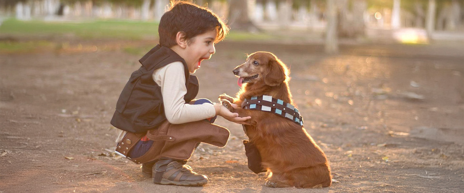 niño y perro tomando sus manos, como si hicieras un pacto