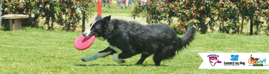 Copa Disc Dog Wafrika