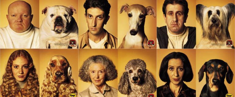 varias fotos, donde se intercalan personas con perros, simulando que son parecidos