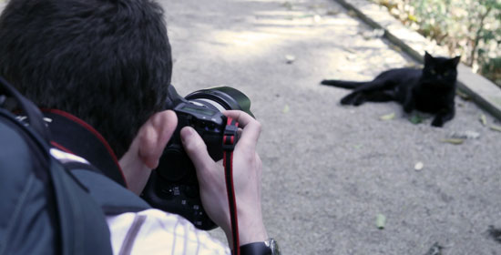 Fotografía para mascotas