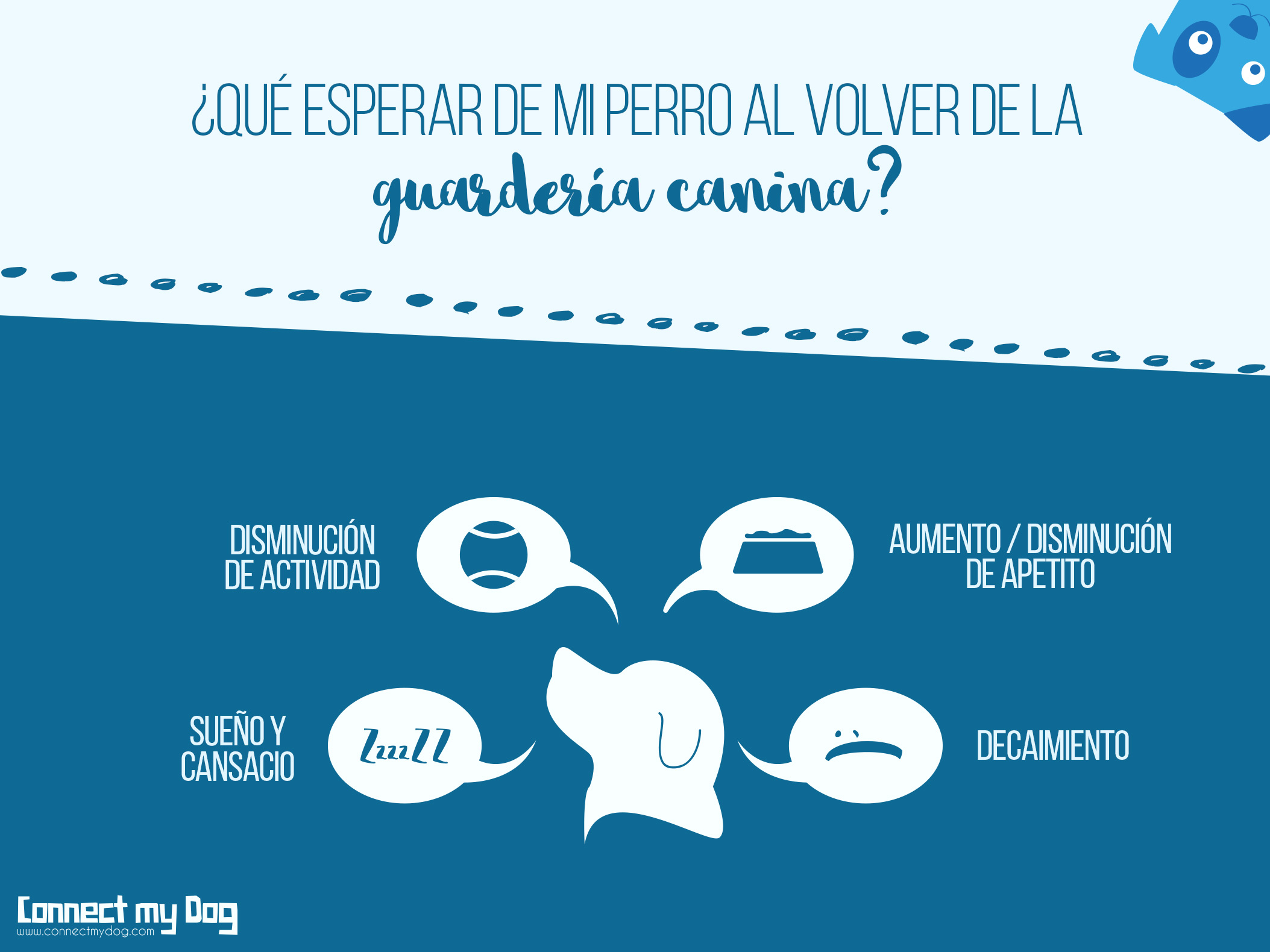 ¿Tu perro vuelve de la guardería? Qué puedes esperar