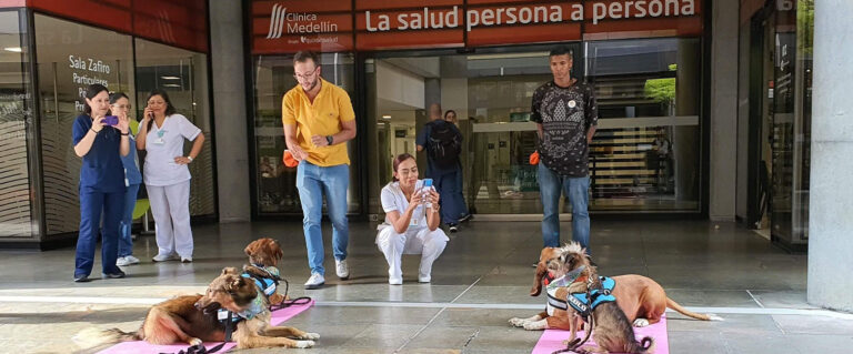 perros posando, mientras humanos le toman fotos, en un centro comercial