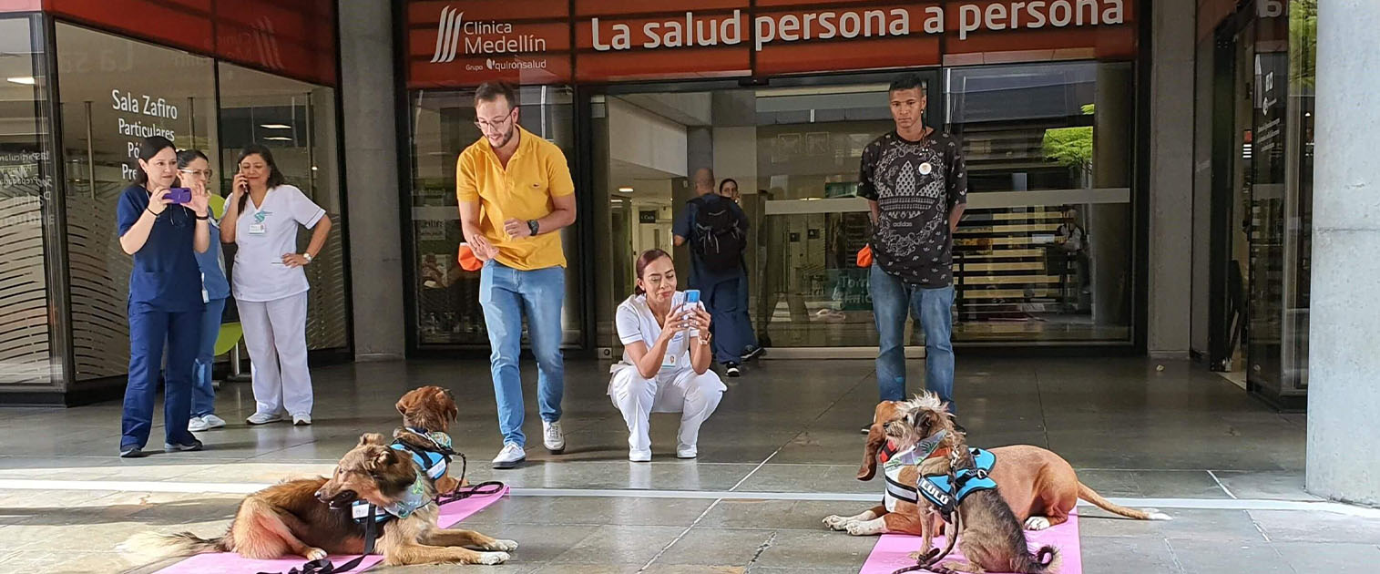 perros posando, mientras humanos le toman fotos, en un centro comercial