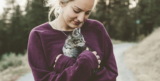 Cuidados básicos de los gatitos