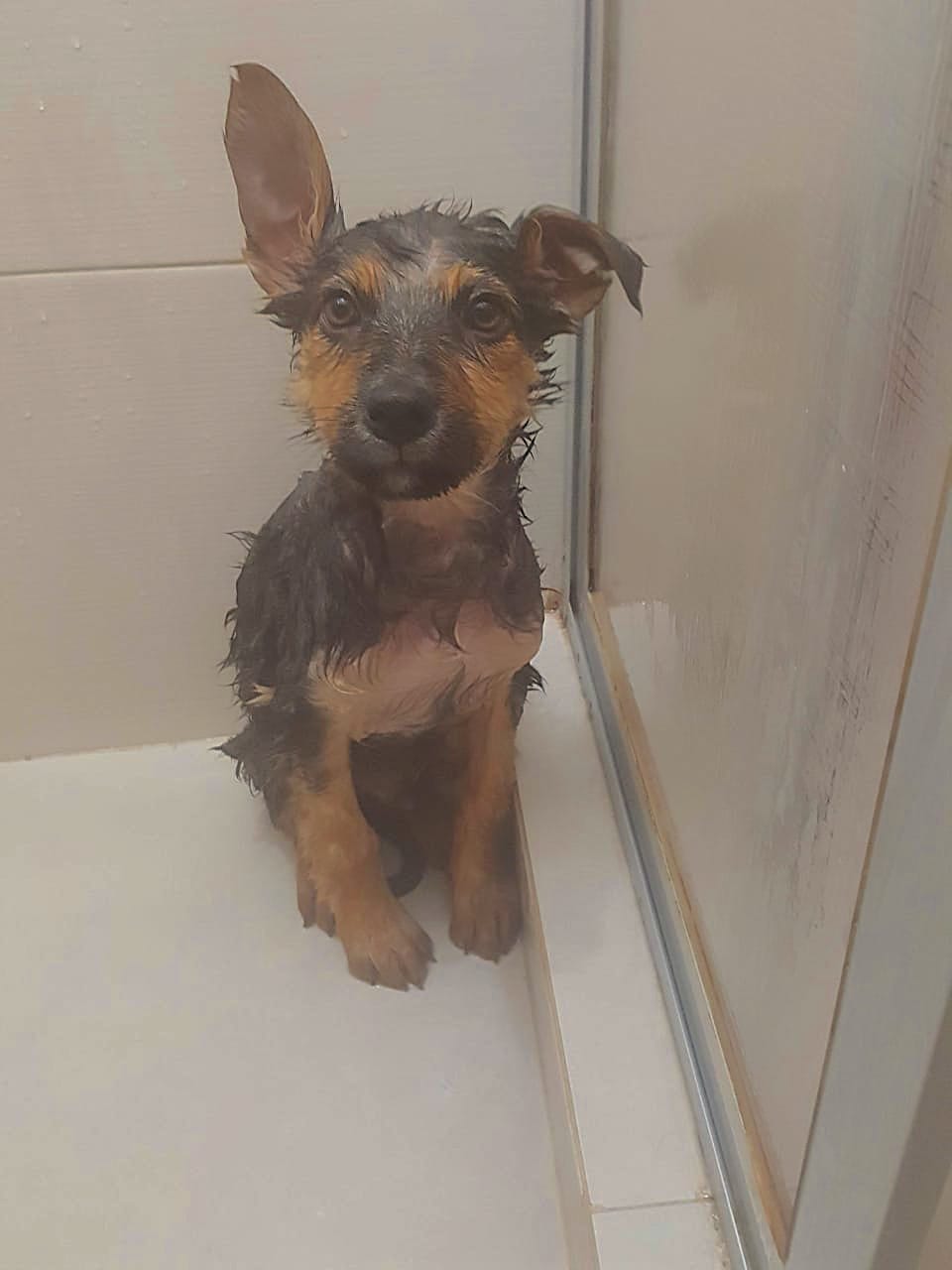 Baño en casa