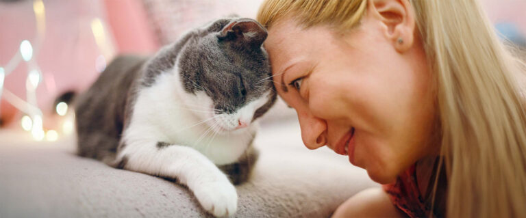 gato gris topando su cabeza junto a la de una mujer mona