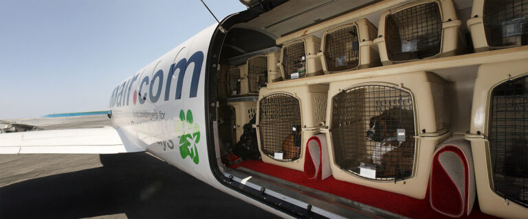 costado de un avión, con varias cabinas de perros en bodega