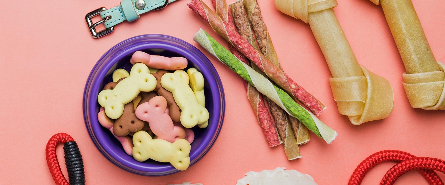 snacks para perros y gatos