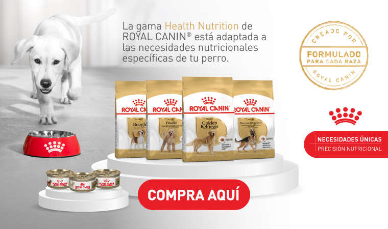 Royal Canin Q2