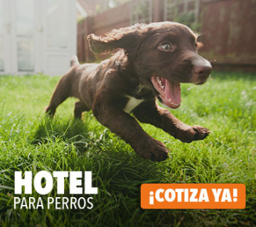Hotel para perros Hotel guardería para perros en Bogotá y sus alrededores. 