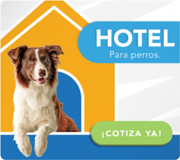 Hotel para perros     Hotel guardería para perros en Bogotá y sus alrededores. 