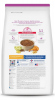 Science Diet Adult Mature Small & Mini 7+