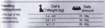 Gato Adulto