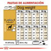 Dálmata Adulto