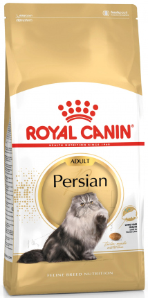 Persian Adult