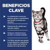Science Diet Adult Indoor Cat