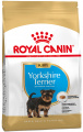Comida para Perro Yorkshire Terrier - Junior 