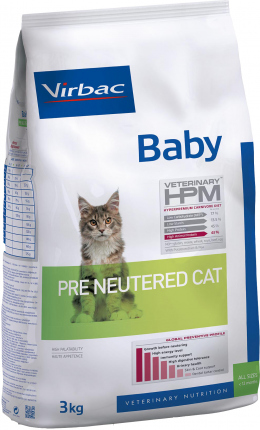 Baby pre neutered Cat