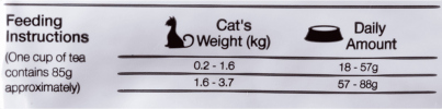Gato Filhotes