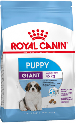 Giant Puppy
