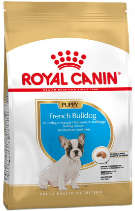 Bulldog Francés Cachorro