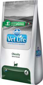 Feline Obesity