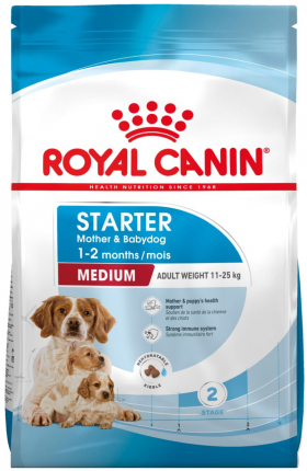 Starter Mother & Babydog Medium