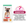 Science Diet Puppy Large Breed
