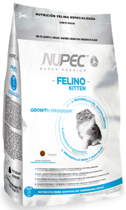 Felino Kitten