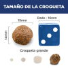 Science Diet Adult Large Breed