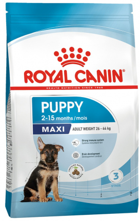 Maxi Puppy