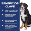 Science Diet Adult Large Breed