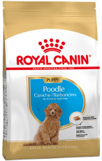 Royal Canin Poodle Puppy 3kg