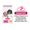 Science Diet Puppy Small & Mini