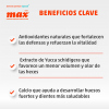 Performance Adultos Razas Pequeñas