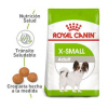 X-Small Adult