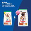 Science Diet Puppy Large Breed