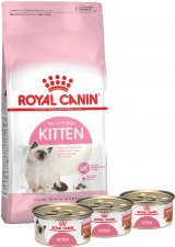 Royal Canin Combo Kitten + Alimento Húmedo en Lata 3 latas + 2kg
