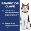Science Diet Adult Cat 7+