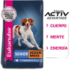Senior 