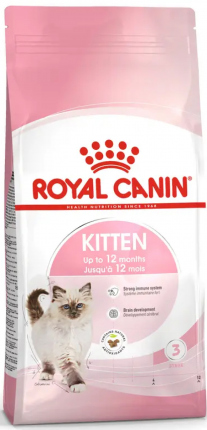 Kitten