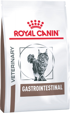 Feline Gastrointestinal 
