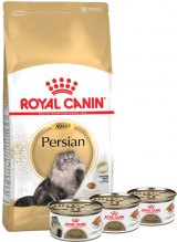 Royal Canin Combo Persian Adult + Alimento Húmedo en Lata 3 latas + 2kg